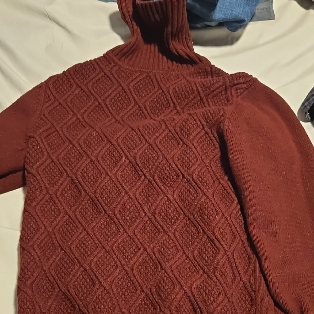 Rust Turtleneck Sweater